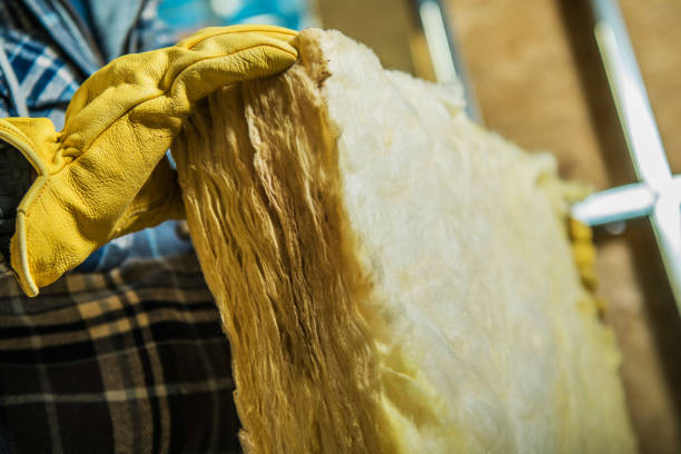Best Insulation Installation Services in Lakewood, OH